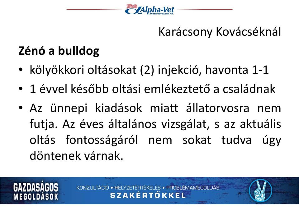 Az ünnepi kiadások miatt állatorvosra nem futja.