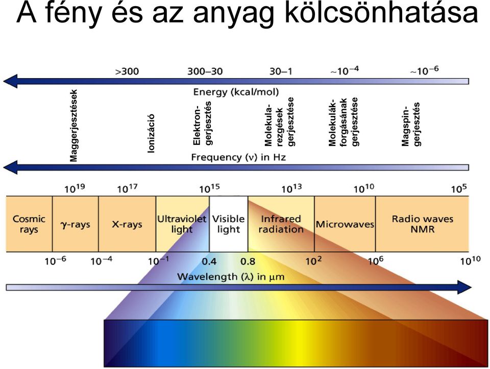 Elektrongerjesztés Molekularezgések