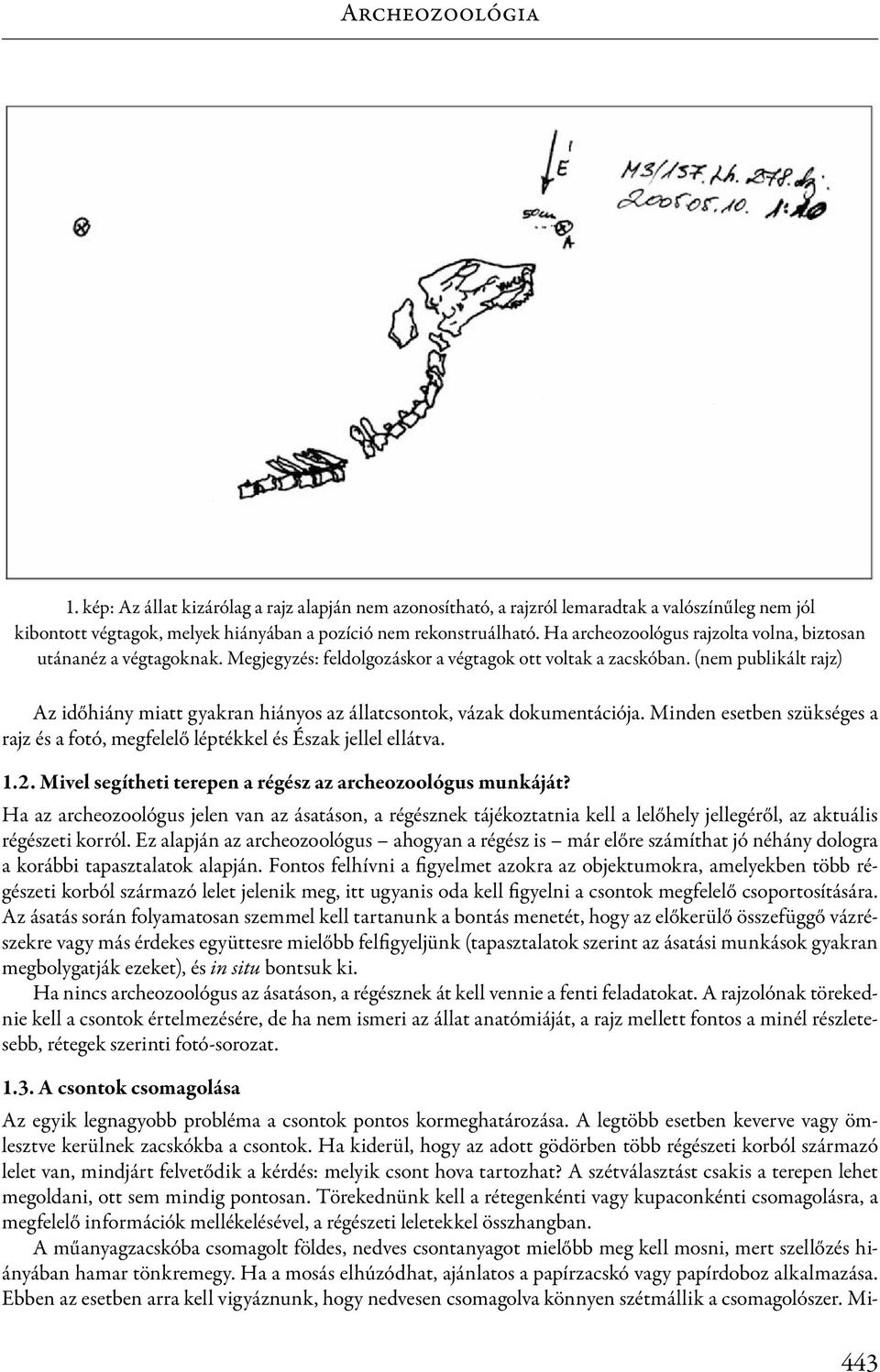 (nem publikált rajz) Az időhiány miatt gyakran hiányos az állatcsontok, vázak dokumentációja. Minden esetben szükséges a rajz és a fotó, megfelelő léptékkel és Észak jellel ellátva. 1.2.