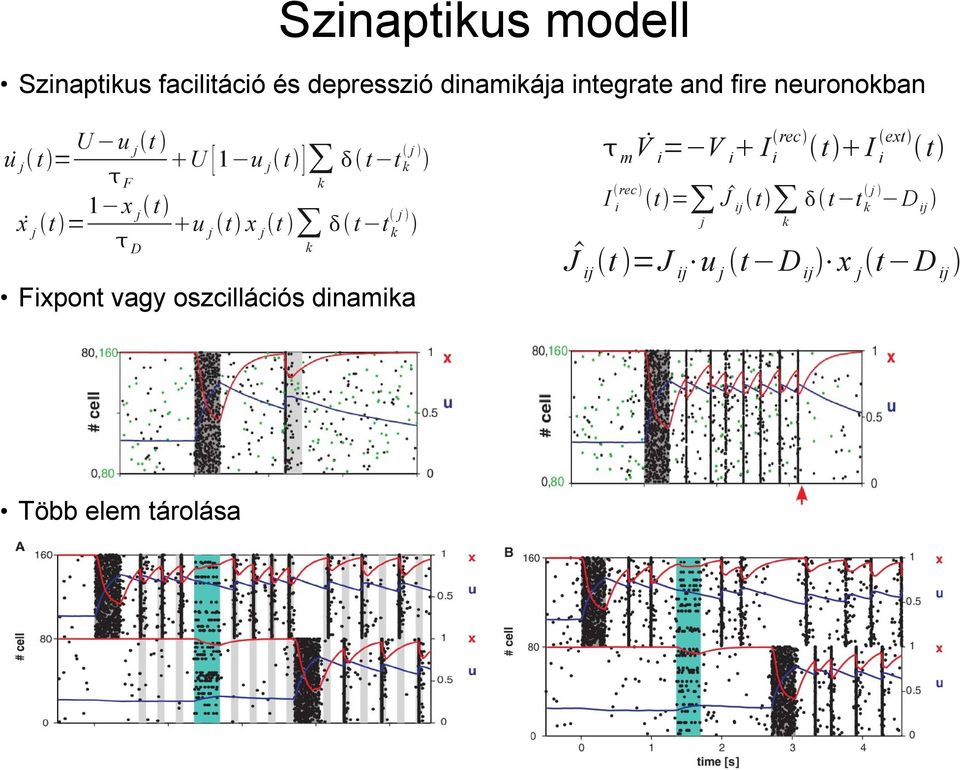 t k j t t k j Fixpont vagy oszcillációs dinamika m V i = V i I rec i t I ext i t I