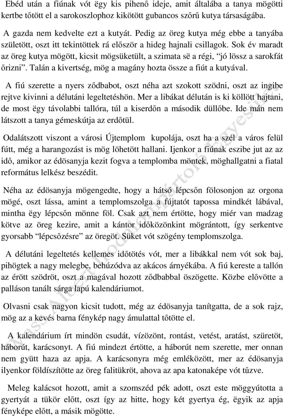 Sok év maradt az öreg kutya mögött, kicsit mögsüketült, a szimata së a régi, jó lössz a sarokfát őrizni. Talán a kivertség, mög a magány hozta össze a fiút a kutyával.