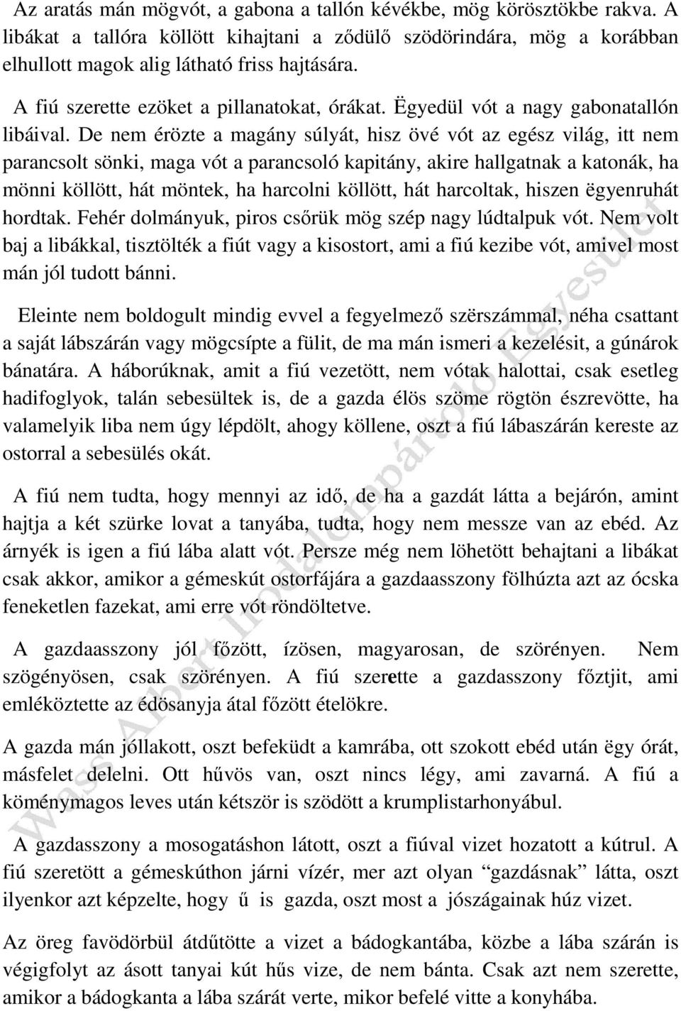 De nem érözte a magány súlyát, hisz övé vót az egész világ, itt nem parancsolt sönki, maga vót a parancsoló kapitány, akire hallgatnak a katonák, ha mönni köllött, hát möntek, ha harcolni köllött,