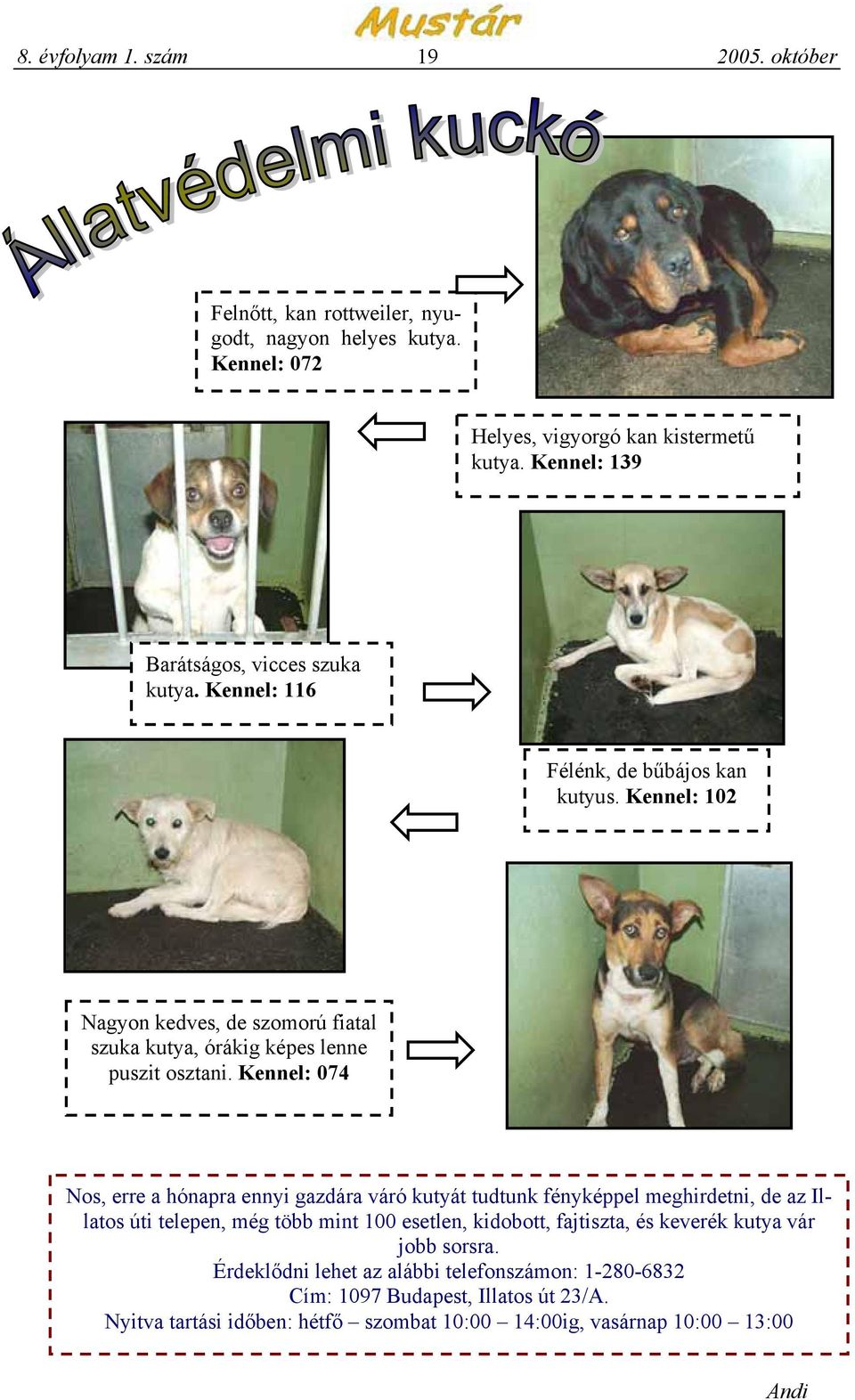 Kennel: 102 Nagyon kedves, de szomorú fiatal szuka kutya, órákig képes lenne puszit osztani.