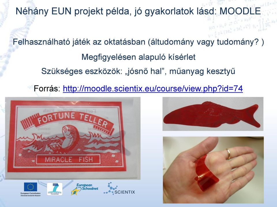 ) Megfigyelésen alapuló kísérlet Szükséges eszközök: jósnő hal, műanyag kesztyű Forrás: http://moodle.