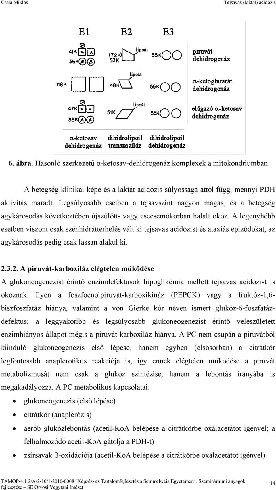 A legenyhébb esetben viszont csak szénhidrátterhelés vált ki tejsavas acidózist és ataxiás epizódokat, az agykárosodás pedig csak lassan alakul ki. 2.