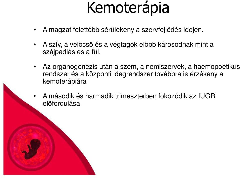 Az organogenezis után a szem, a nemiszervek, a haemopoetikus rendszer és a központi