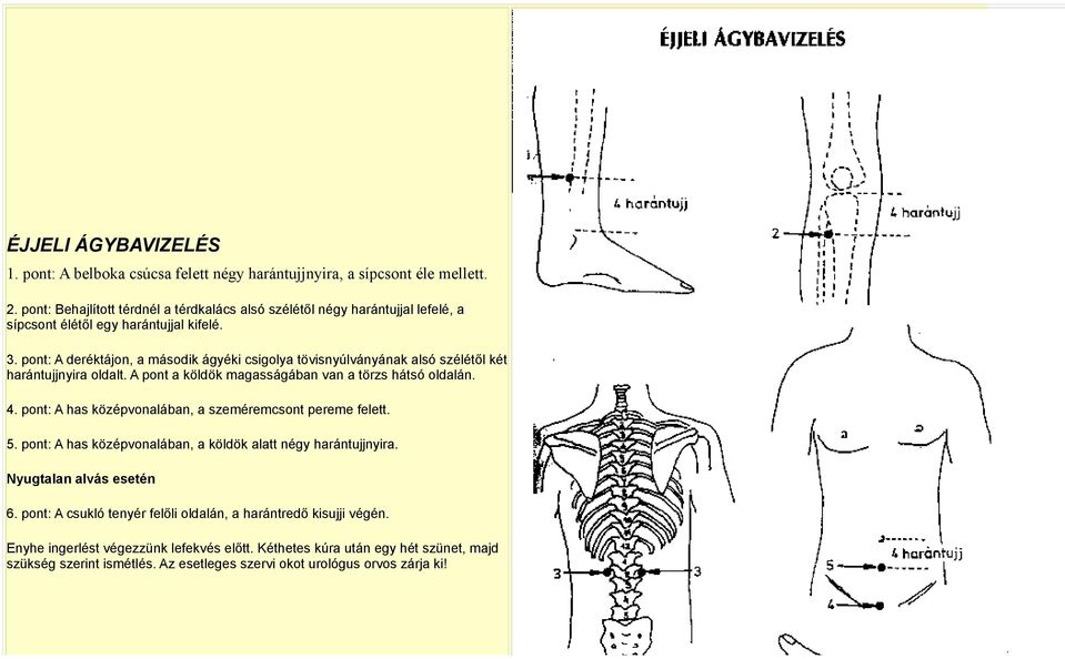 pont: A deréktájon, a második ágyéki csigolya tövisnyúlványának alsó szélétől két harántujjnyira oldalt. A pont a köldök magasságában van a törzs hátsó oldalán. 4.