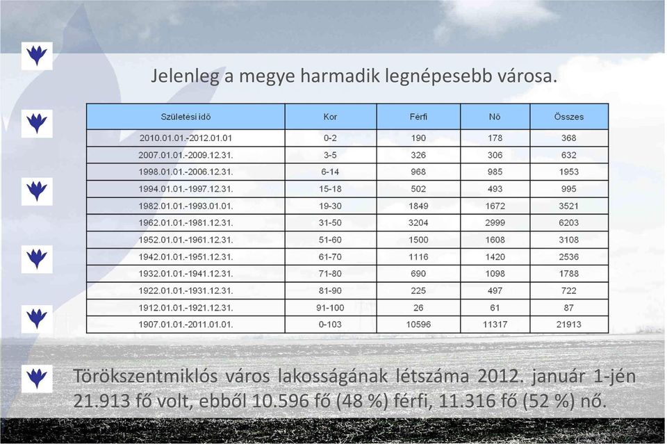 Törökszentmiklós város lakosságának