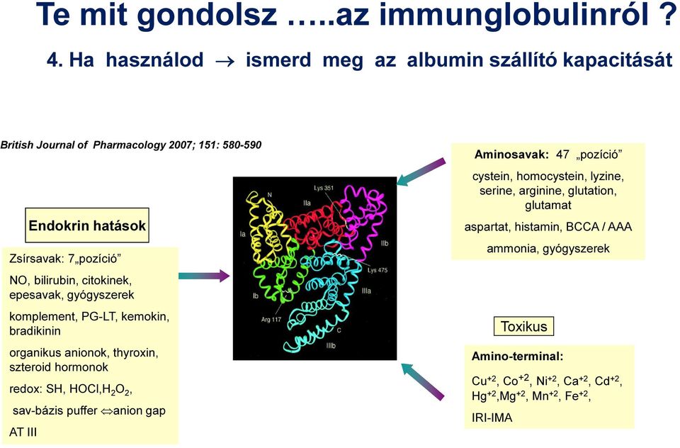 epesavak, gyógyszerek komplement, PG-LT, kemokin, bradikinin organikus anionok, thyroxin, szteroid hormonok redox: SH, HOCl,H 2 O 2, sav-bázis puffer