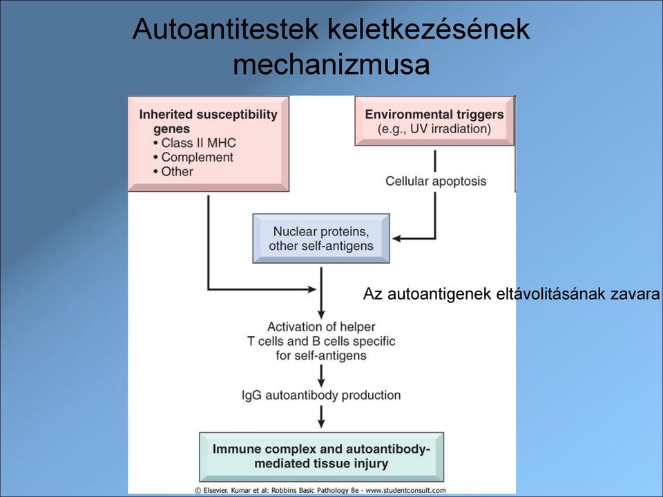 mechanizmusa Az