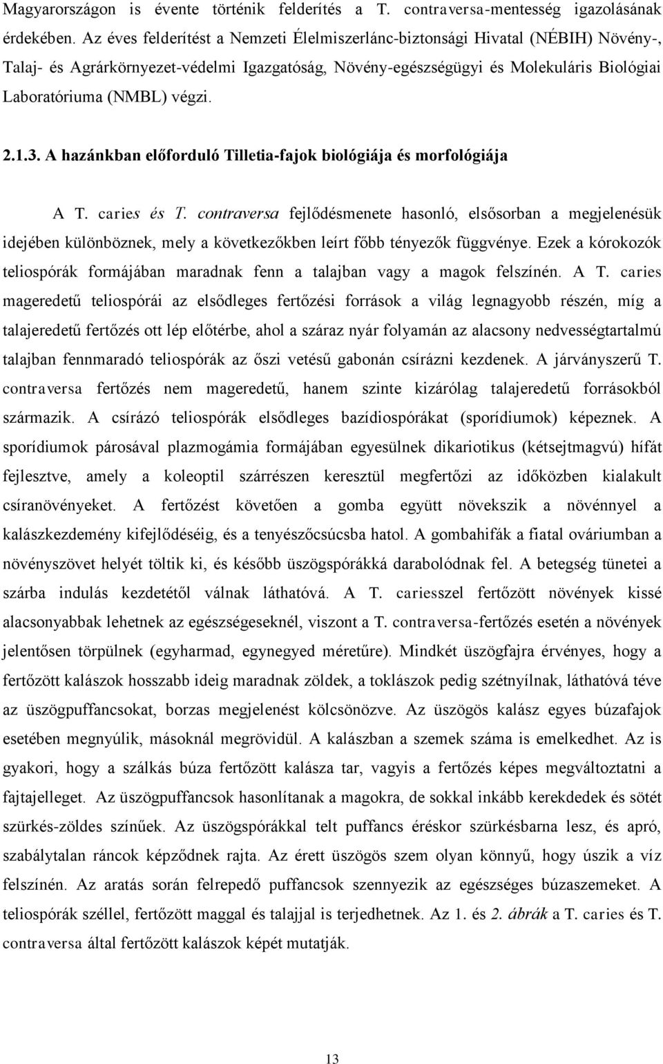 2.1.3. A hazánkban előforduló Tilletia-fajok biológiája és morfológiája A T. caries és T.