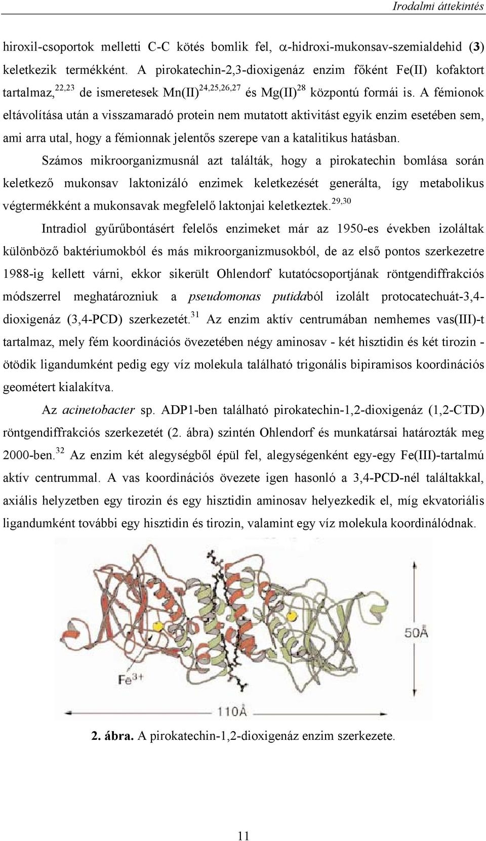 A fémionok eltávolítása után a visszamaradó protein nem mutatott aktivitást egyik enzim esetében sem, ami arra utal, hogy a fémionnak jelentős szerepe van a katalitikus hatásban.