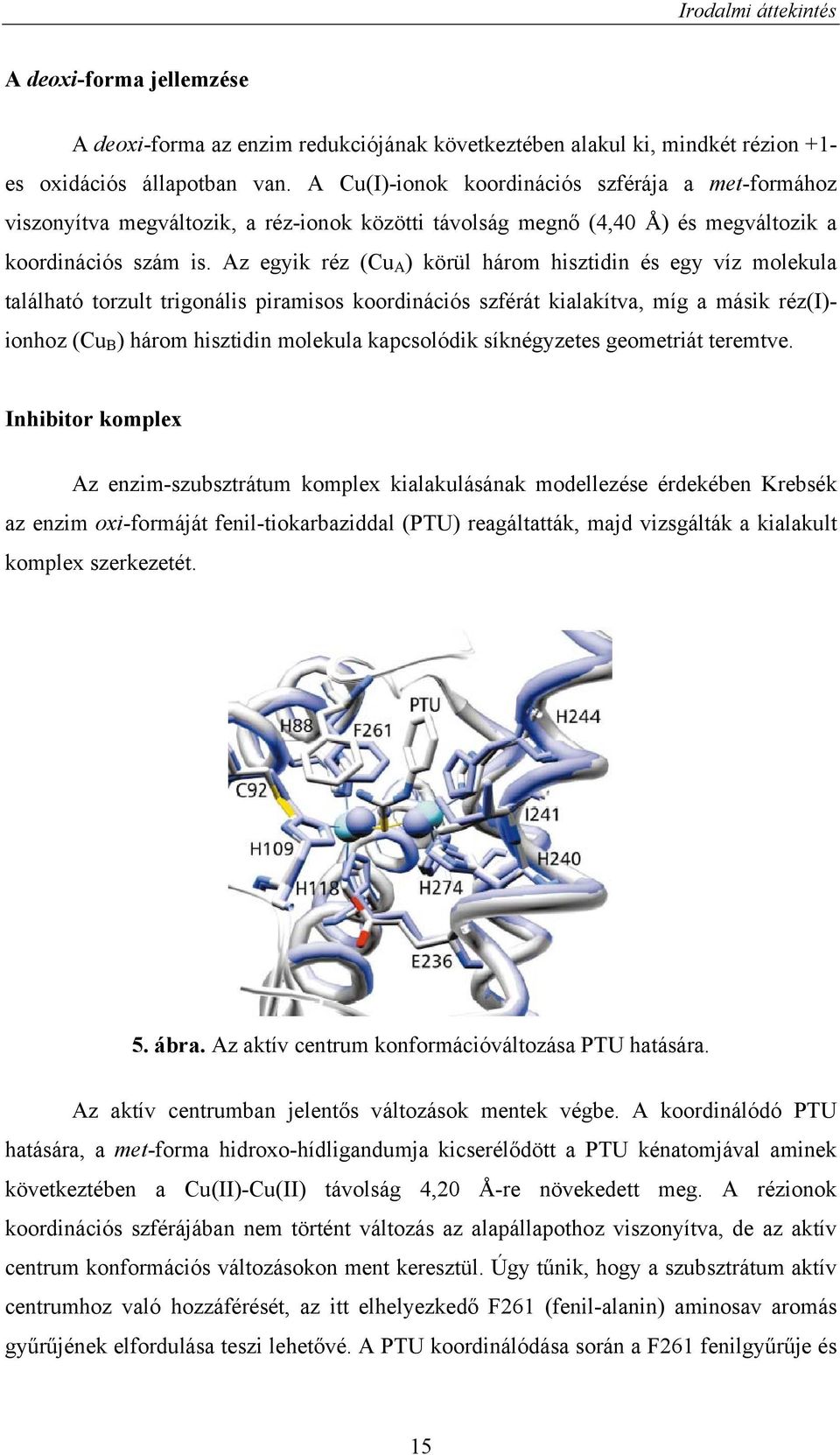 Az egyik réz (Cu A ) körül három hisztidin és egy víz molekula található torzult trigonális piramisos koordinációs szférát kialakítva, míg a másik réz(i)- ionhoz (Cu B ) három hisztidin molekula