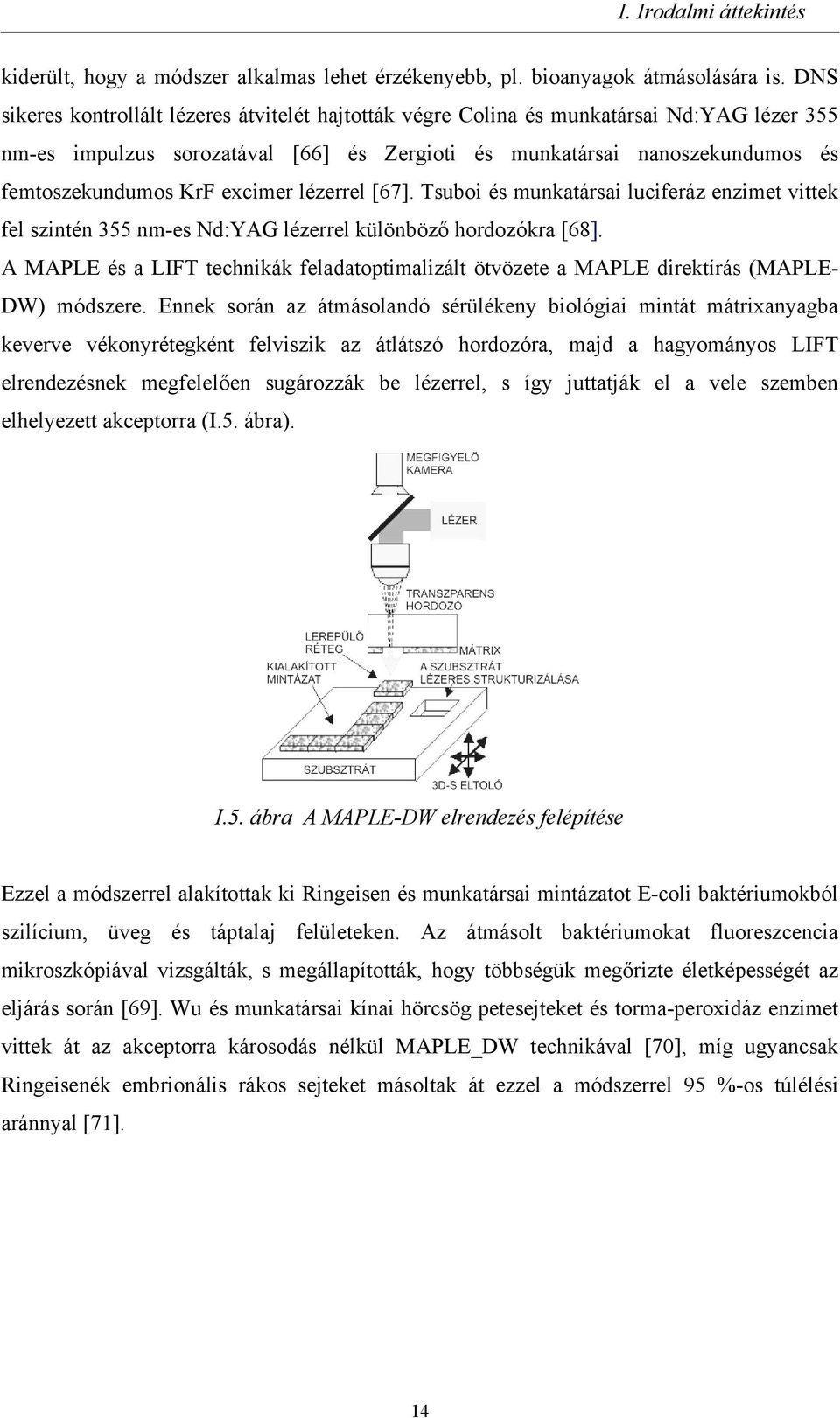 excimer lézerrel [67]. Tsuboi és munkatársai luciferáz enzimet vittek fel szintén 355 nm-es Nd:YAG lézerrel különböző hordozókra [68].