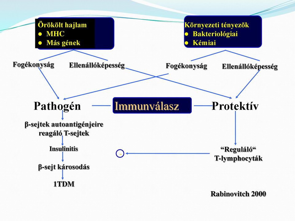 Pathogén β-sejtek autoantigénjeire reagáló T-sejtek Insulinitis