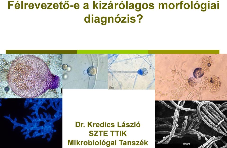 diagnózis? Dr.