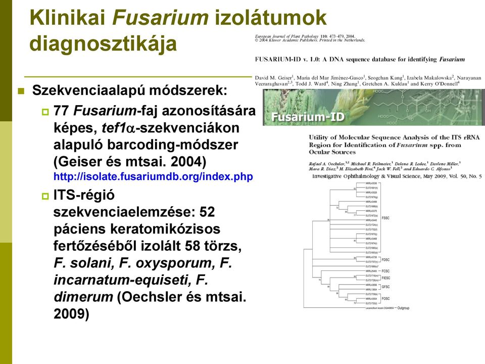 2004) http://isolate.fusariumdb.org/index.