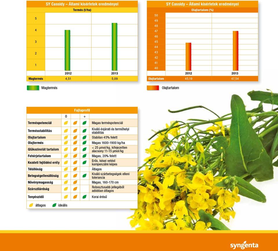 Növénymagasság Szárszilárdság Tenyészidő Fajtaprofil 0 + Magas terméspotenciál Kiváló évjárati és termőhelyi stabilitás Stabilan 45% felett Magas 1600-1900 kg/ha < 25 μmol/kg, kifejezetten alacsony