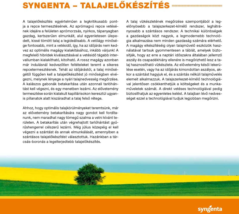 A vetőágy minősége fontosabb, mint a vetésidő, így, ha az időjárás nem kedvez az optimális magágy kialakításához, inkább várjunk!