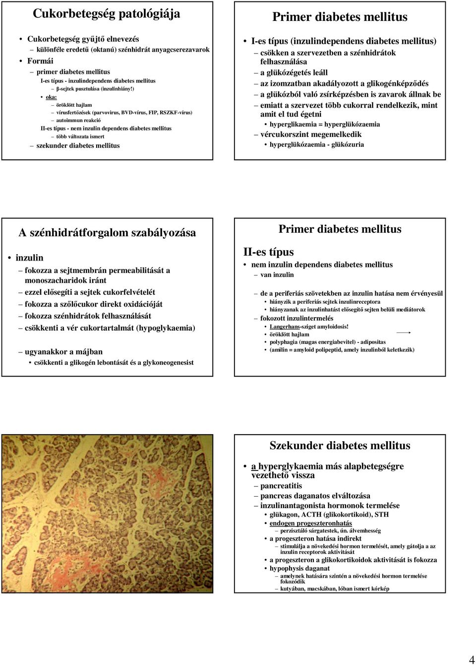 ) oka: öröklött hajlam vírusfertızések (parvovirus, BVD-vírus, FIP, RSZKF-vírus) autoimmun reakció II-es típus - nem inzulin dependens diabetes mellitus több változata ismert szekunder diabetes