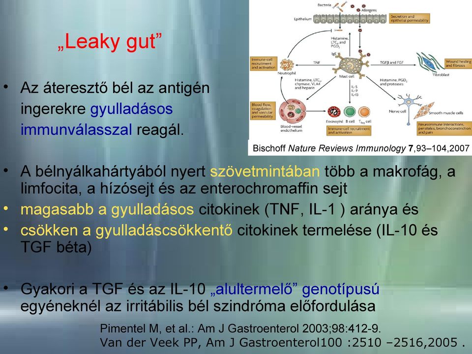 enterochromaffin sejt magasabb a gyulladásos citokinek (TNF, IL-1 ) aránya és csökken a gyulladáscsökkentő citokinek termelése (IL-10 és TGF