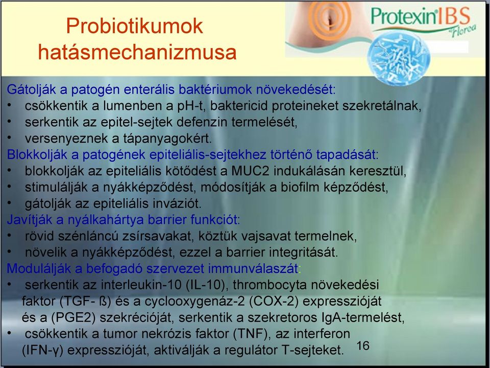 Blokkolják a patogének epiteliális-sejtekhez történő tapadását: blokkolják az epiteliális kötődést a MUC2 indukálásán keresztül, stimulálják a nyákképződést, módosítják a biofilm képződést, gátolják