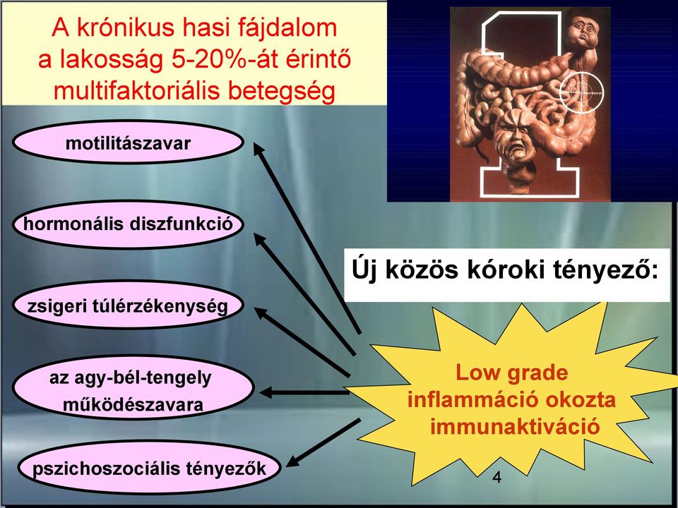 közös kóroki tényező: zsigeri túlérzékenység az agy-bél-tengely