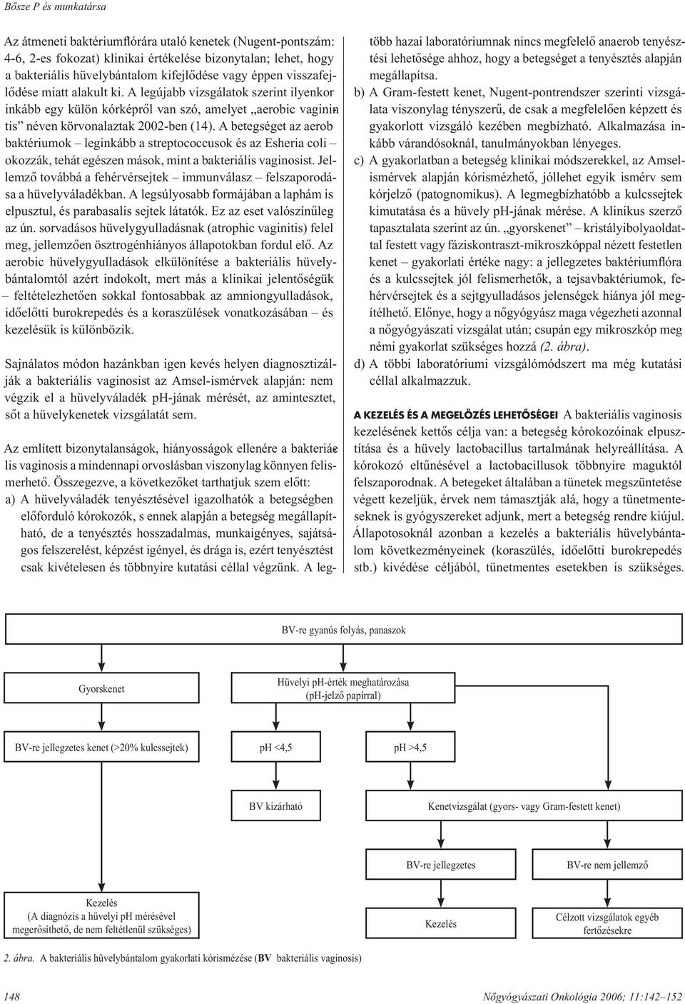 A betegséget az aerob baktériumok leginkább a streptococcusok és az Esheria coli okozzák, tehát egészen mások, mint a bakteriális vaginosist.