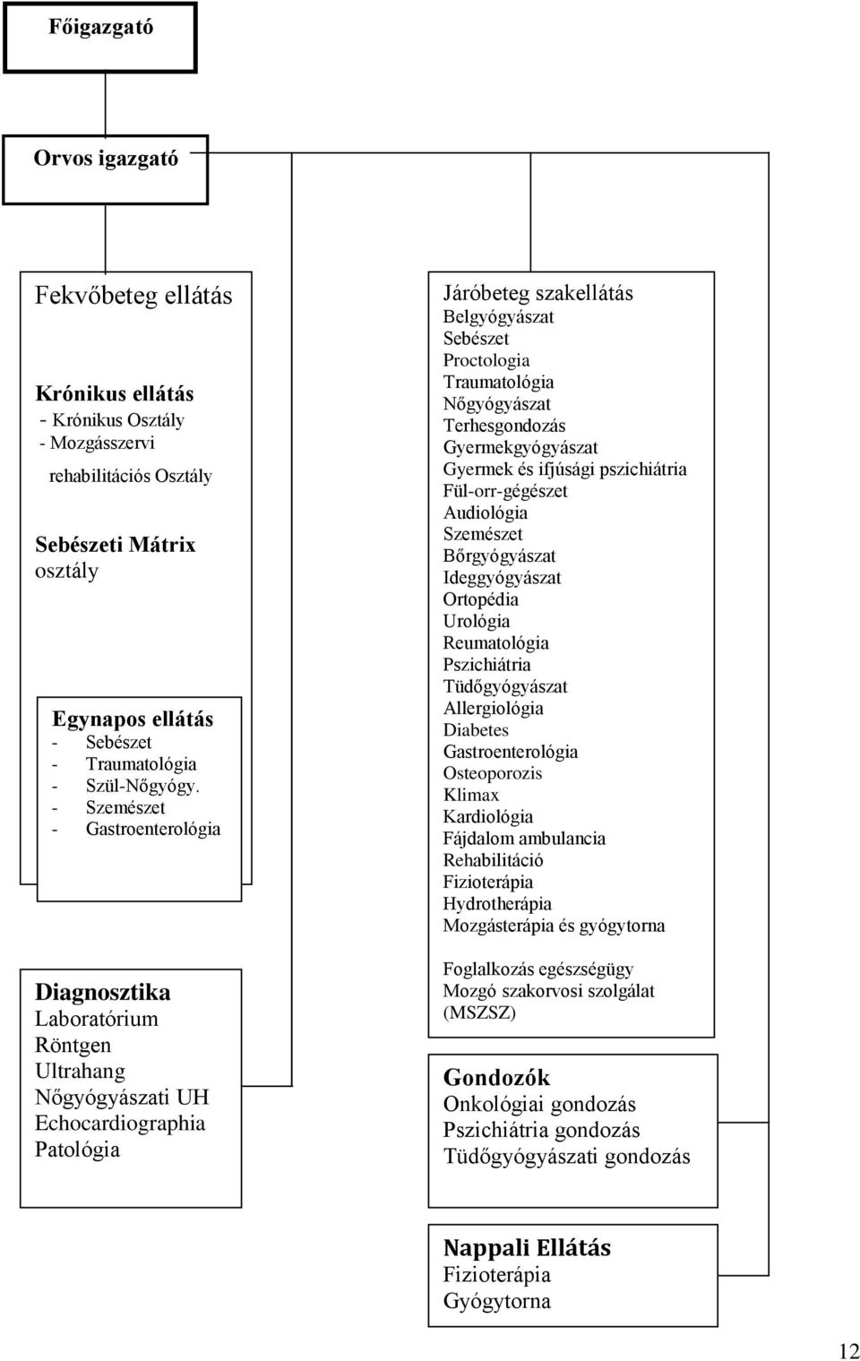 - Szemészet - Gastroenterológia Diagnosztika Laboratórium Röntgen Ultrahang Nőgyógyászati UH Echocardiographia Patológia Járóbeteg szakellátás Belgyógyászat Sebészet Proctologia Traumatológia