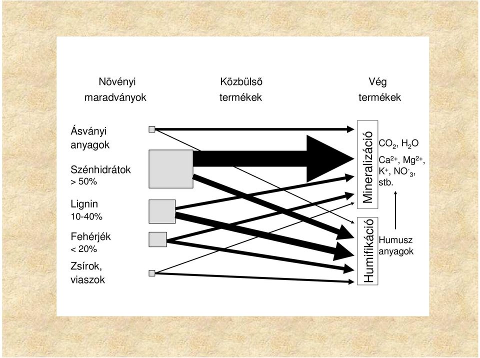 Fehérjék < 20% Zsírok, viaszok Mineralizáció