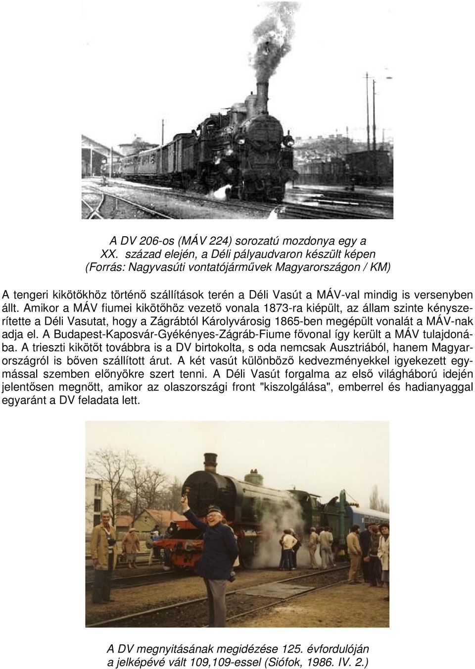 állt. Amikor a MÁV fiumei kikötőhöz vezető vonala 1873-ra kiépült, az állam szinte kényszerítette a Déli Vasutat, hogy a Zágrábtól Károlyvárosig 1865-ben megépült vonalát a MÁV-nak adja el.