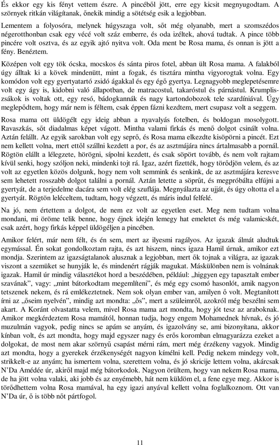 A pince több pincére volt osztva, és az egyik ajtó nyitva volt. Oda ment be Rosa mama, és onnan is jött a fény. Benéztem. Középen volt egy tök ócska, mocskos és sánta piros fotel, abban ült Rosa mama.