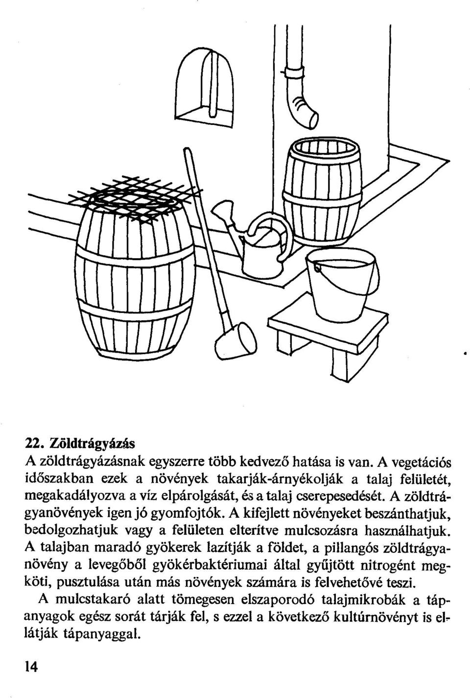 A zöldtrágyanövények igen jó gyomfojtók. A kifejlett növényeket beszánthatjuk, bedolgozhatjuk vagy a felületen elterítve mulcsozásra használhatjuk.