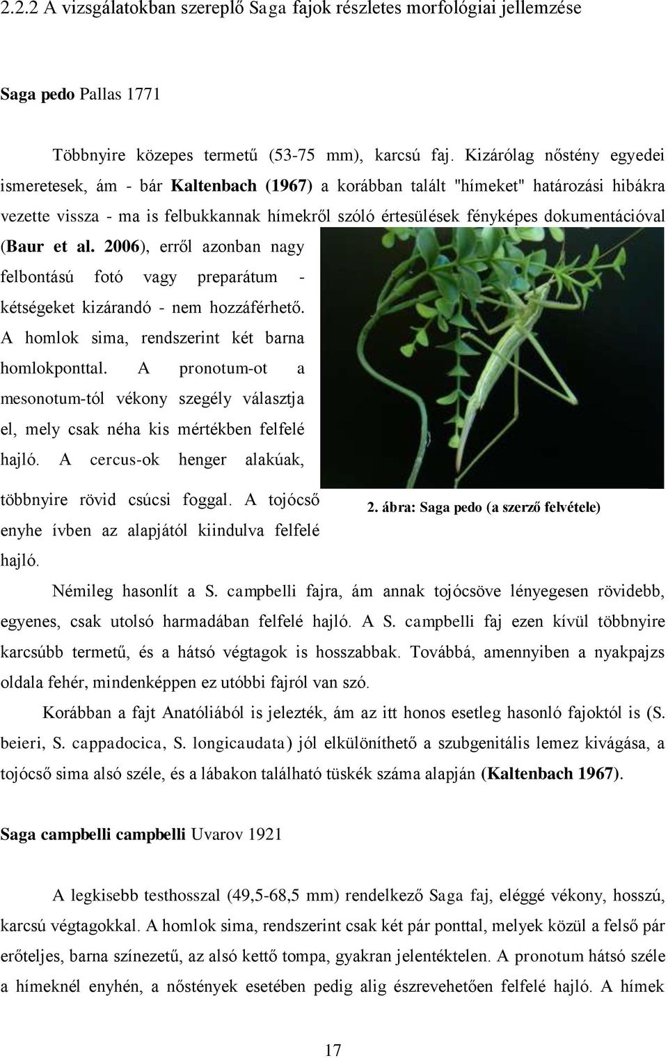 dokumentációval (Baur et al. 2006), erről azonban nagy felbontású fotó vagy preparátum - kétségeket kizárandó - nem hozzáférhető. A homlok sima, rendszerint két barna homlokponttal.