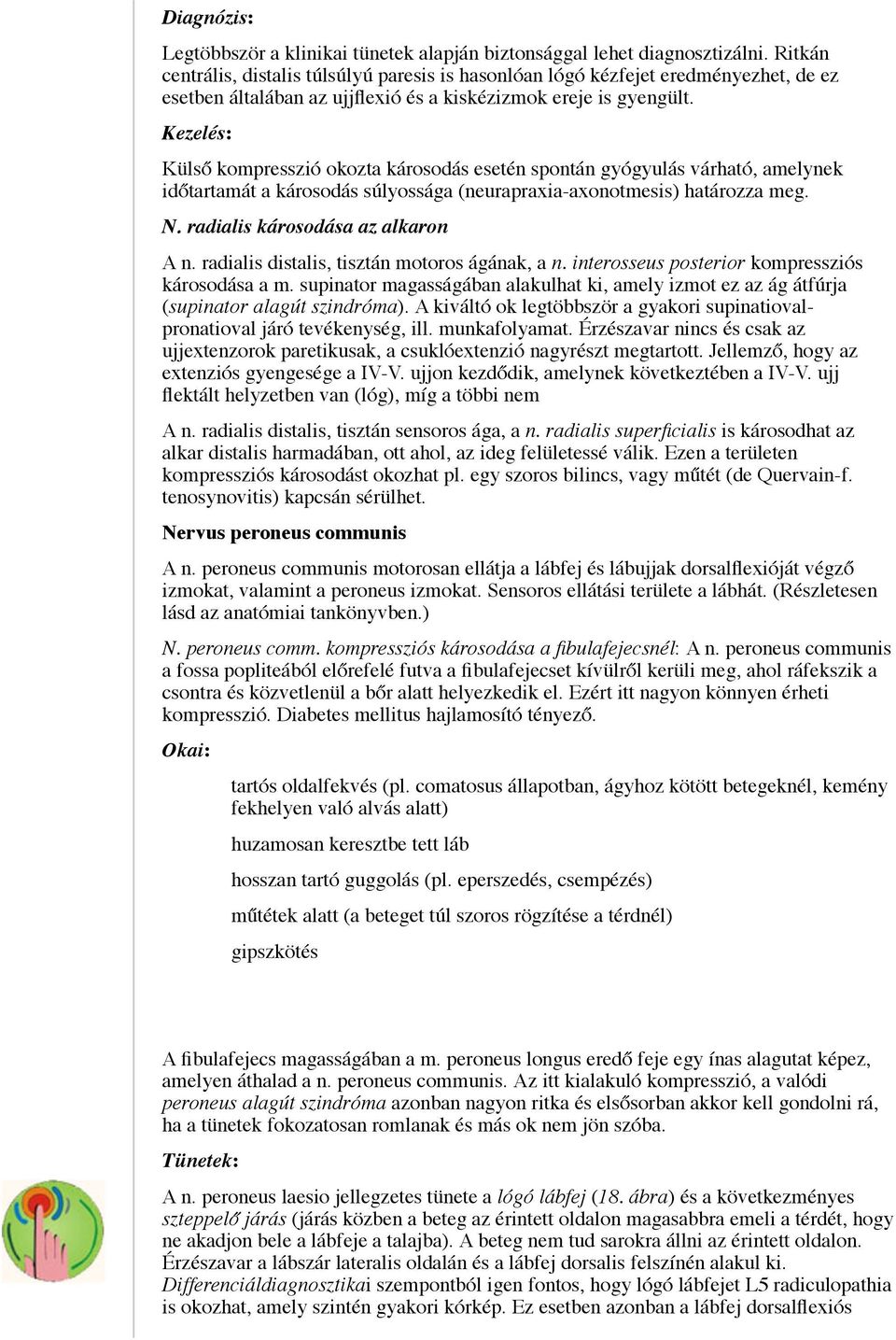 Kezelés: Külső kompresszió okozta károsodás esetén spontán gyógyulás várható, amelynek időtartamát a károsodás súlyossága (neurapraxia-axonotmesis) határozza meg. N.