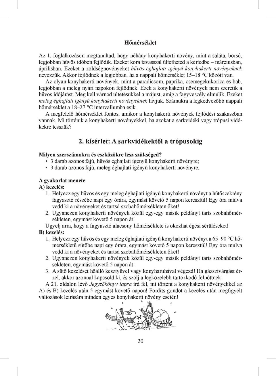 Az olyan konyhakerti növények, mint a paradicsom, paprika, csemegekukorica és bab, legjobban a meleg nyári napokon fejlődnek. Ezek a konyhakerti növények nem szeretik a hűvös időjárást.