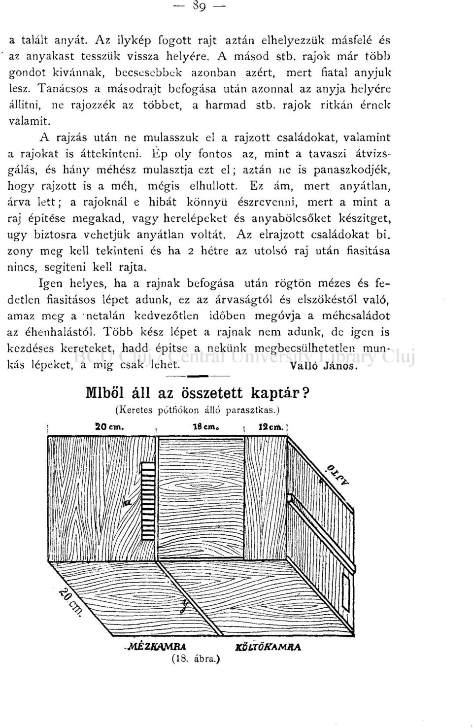 rajok ritkán érnek valamit. A rajzás után ne mulasszuk el a rajzott családokat, valamint a rajokat is áttekinteni.