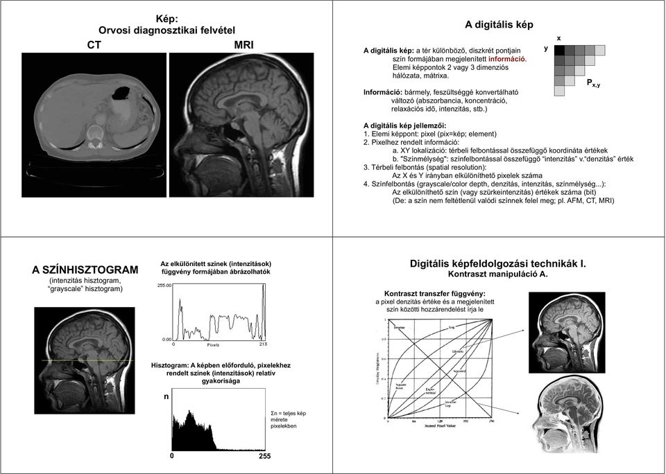 ) y x P x,y A digitális kép jellemzői: 1. Elemi képpont: pixel (pix=kép; element) 2. Pixelhez rendelt információ: a. XY lokalizáció: térbeli felbontással összefüggő koordináta értékek b.