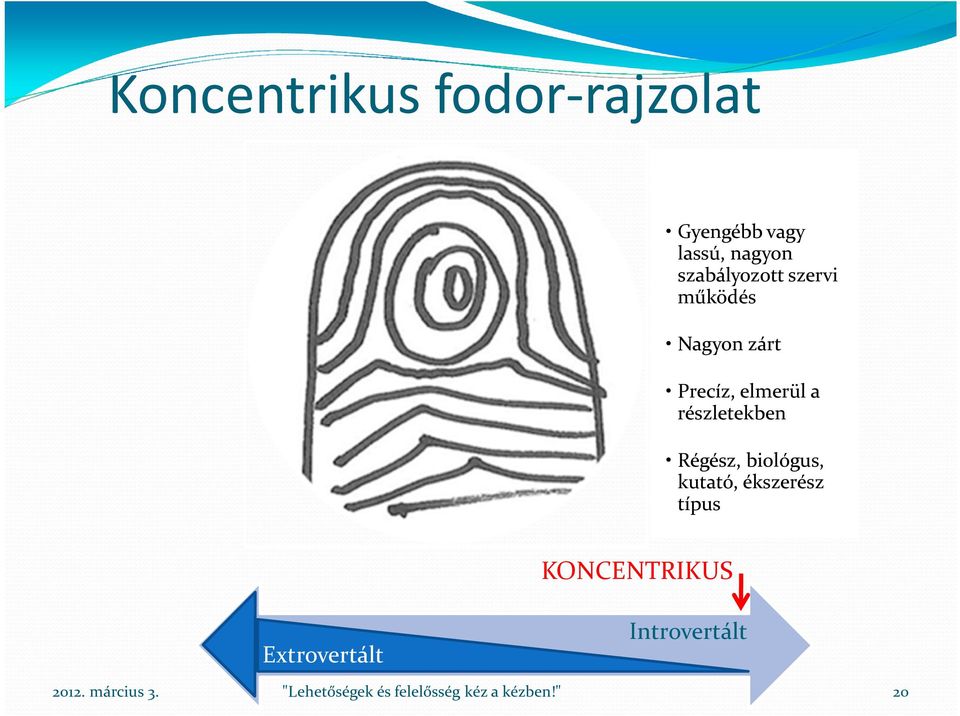 Precíz, elmerül a részletekben Régész, biológus,