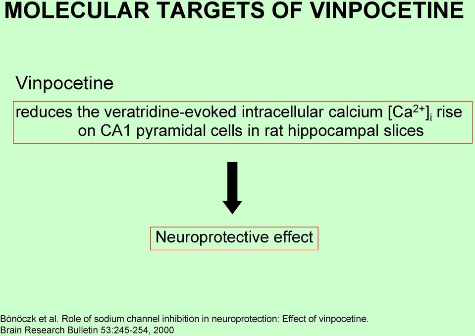 slices Neuroprotective effect Bönöczk et al.