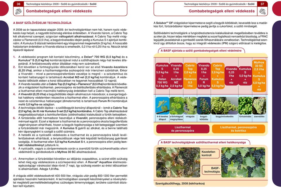 A Cabrio Top mellé virágzáskor a Flamencót (,5 ), a bogyónövekedés idején pedig a Kumulus S-t ajánljuk kombinálni. A Kumulus S dózisát hektáronként egy kilogrammal megemeltük (5 kg/ha).