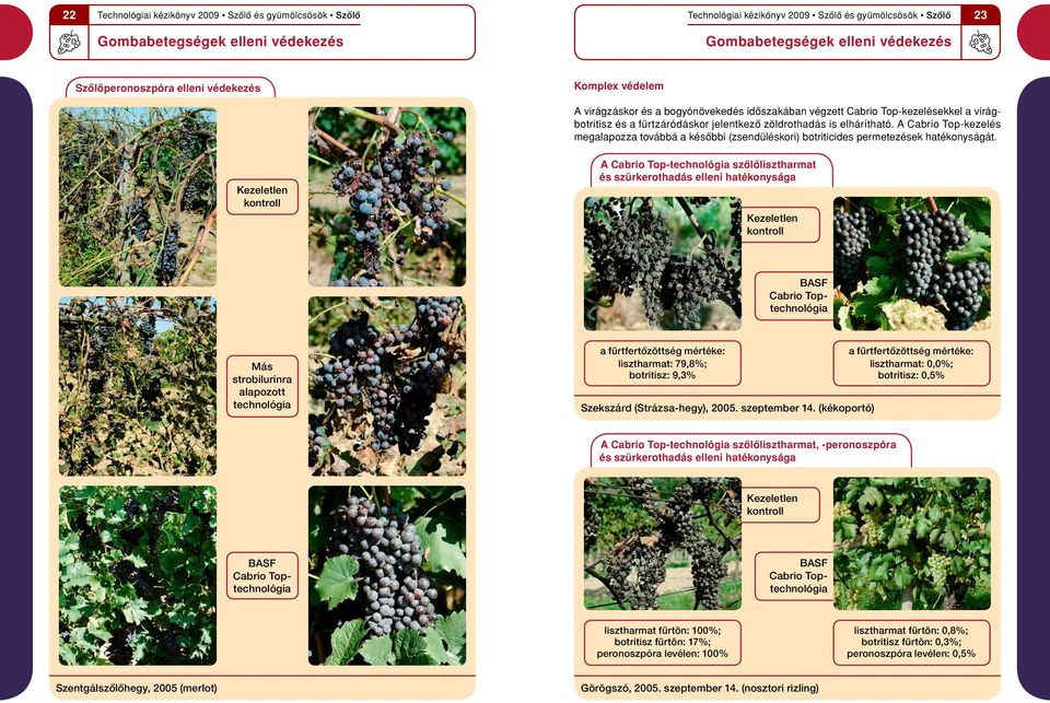 A Cabrio Top-technológia szôlôlisztharmat és szürkerothadás elleni hatékonysága BASF Cabrio Toptechnológia Más strobilurinra alapozott technológia a fu rtfertôzöttség mértéke: lisztharmat: 79,8%;