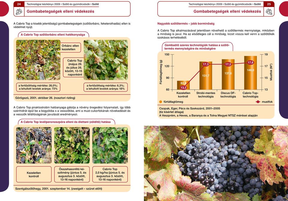 Ha az elsôdleges cél a minôség, kicsit vissza kell venni a szôlôtôkék szokásos terhelésébôl.