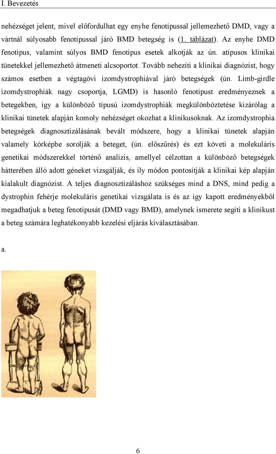 Tovább nehezíti a klinikai diagnózist, hogy számos esetben a végtagövi izomdystrophiával járó betegségek (ún.