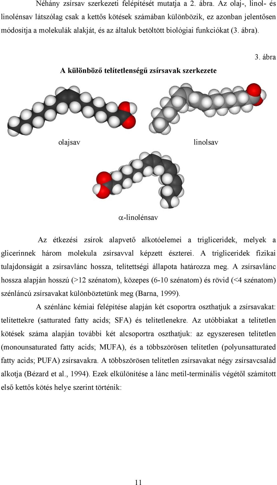 A különböző telítetlenségű zsírsavak szerkezete 3.