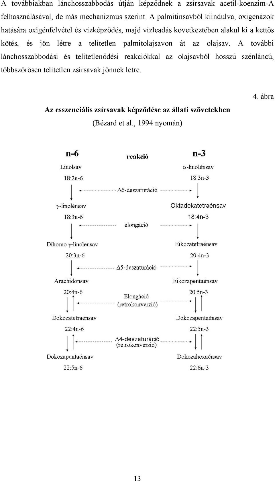 jön létre a telítetlen palmitolajsavon át az olajsav.