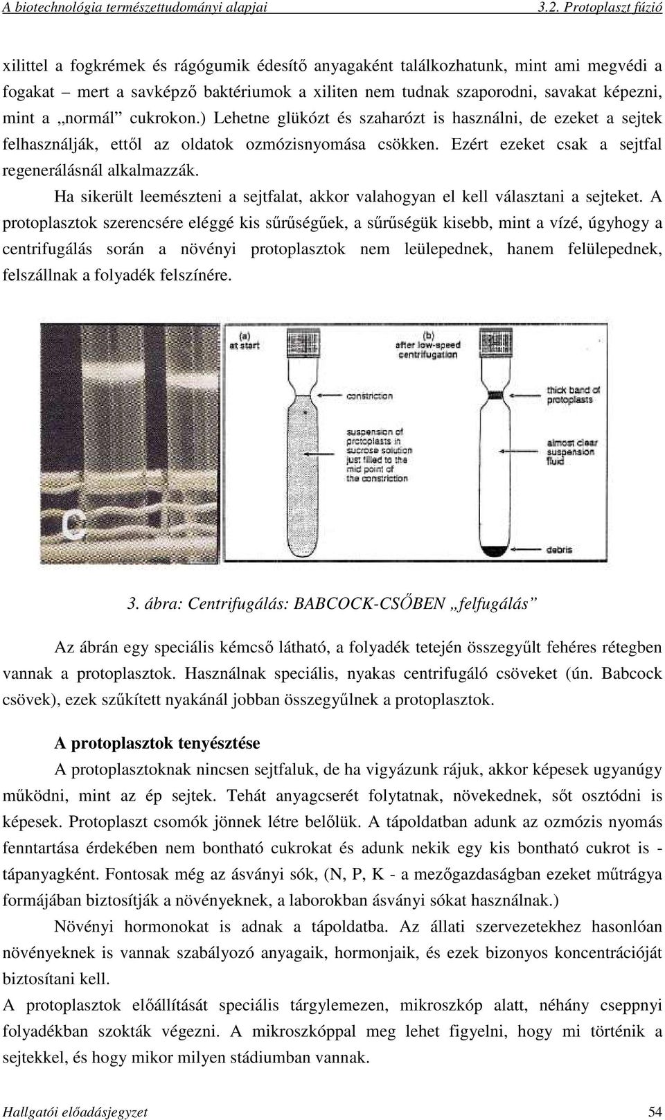 Ha sikerült leemészteni a sejtfalat, akkor valahogyan el kell választani a sejteket.