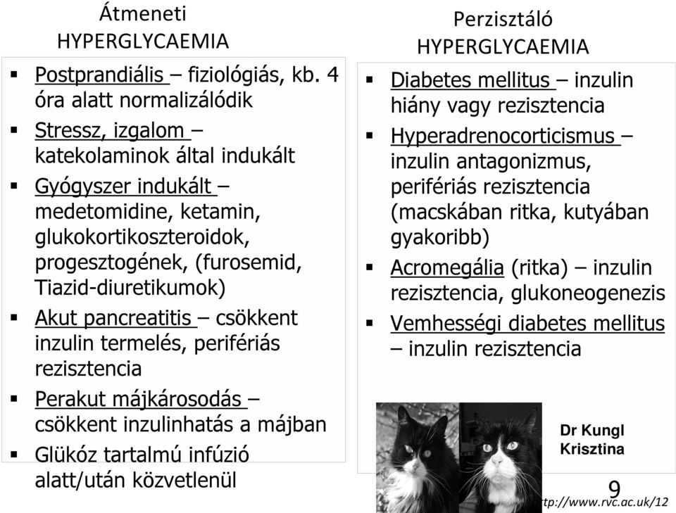 Tiazid-diuretikumok) Akut pancreatitis csökkent inzulin termelés, perifériás rezisztencia Perakut májkárosodás csökkent inzulinhatás a májban Glükóz tartalmú infúzió alatt/után