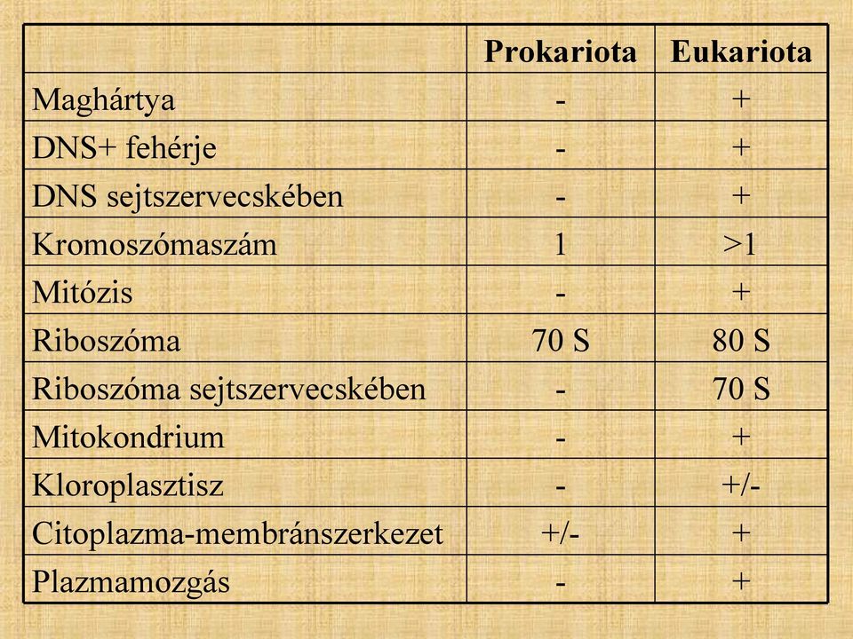 sejtszervecskében Mitokondrium Kloroplasztisz