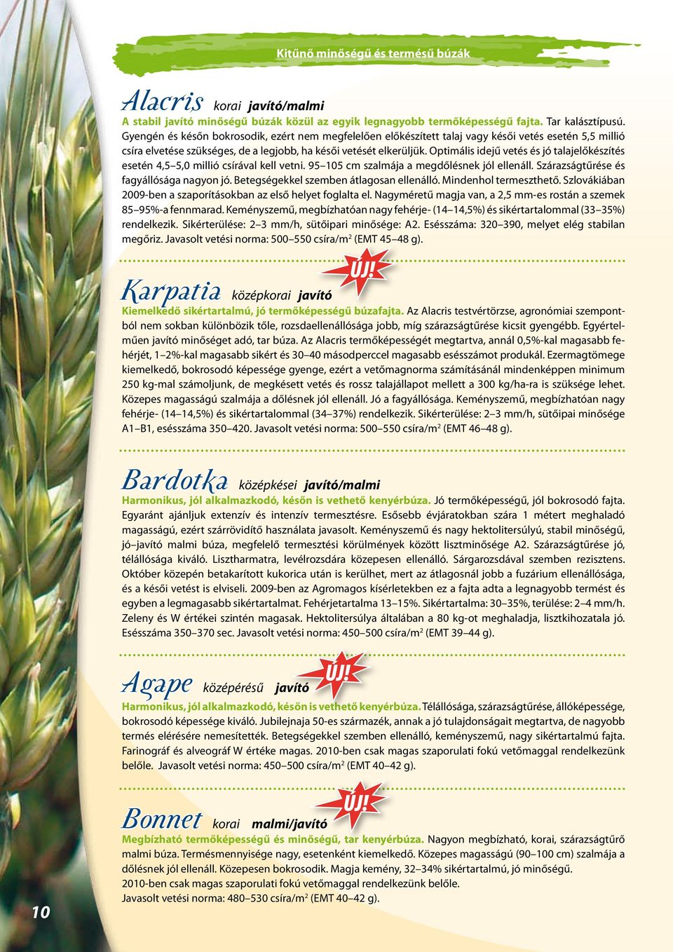 Optimális idejű vetés és jó talajelőkészítés esetén 4,5 5,0 millió csírával kell vetni. 95 105 cm szalmája a megdőlésnek jól ellenáll. Szárazságtűrése és fagyállósága nagyon jó.